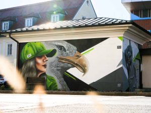 graffiti in klagenfurt von roxs