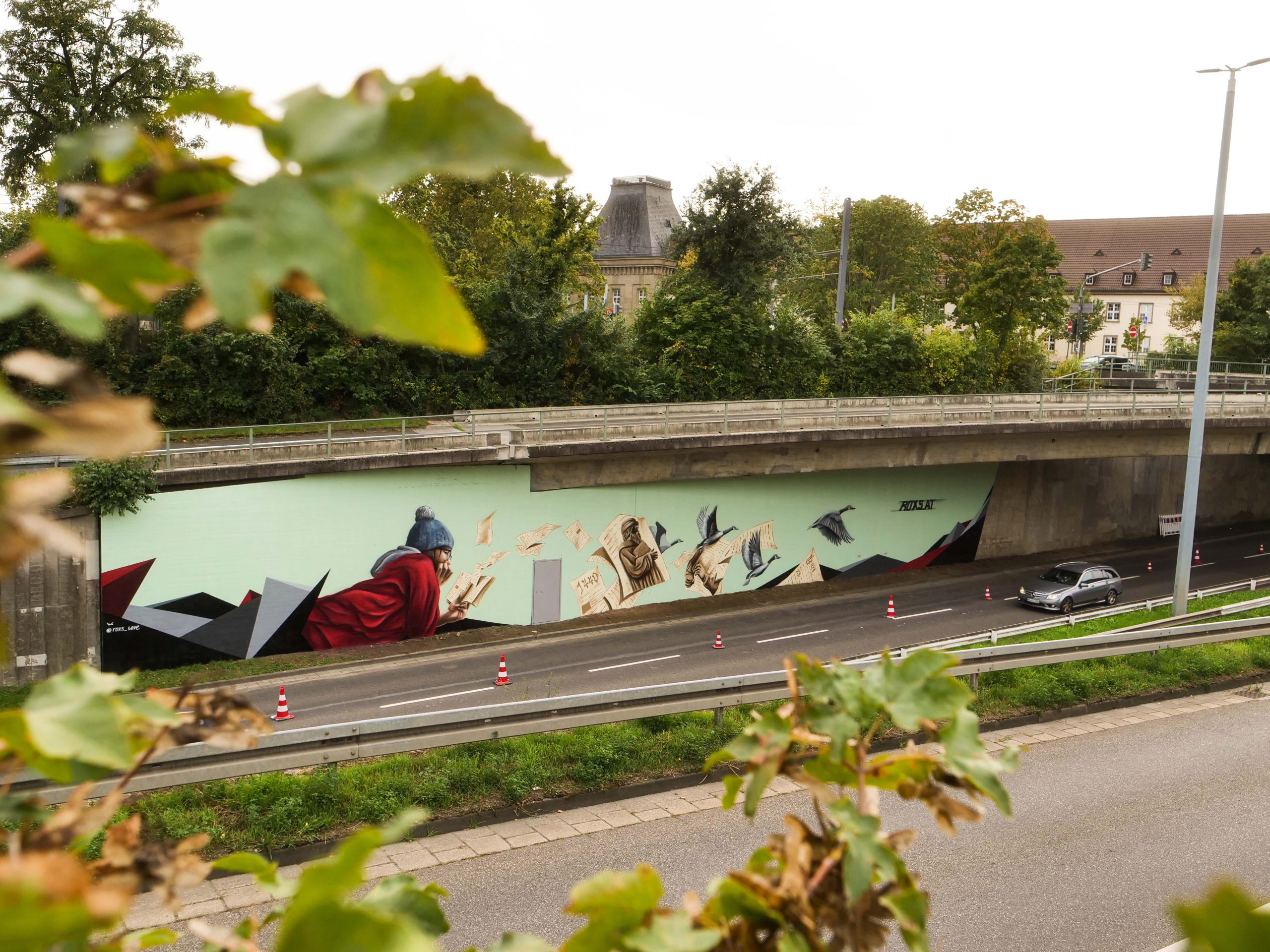 Murals Professionelle Wandmalerei Graffiti K nstler RoxS