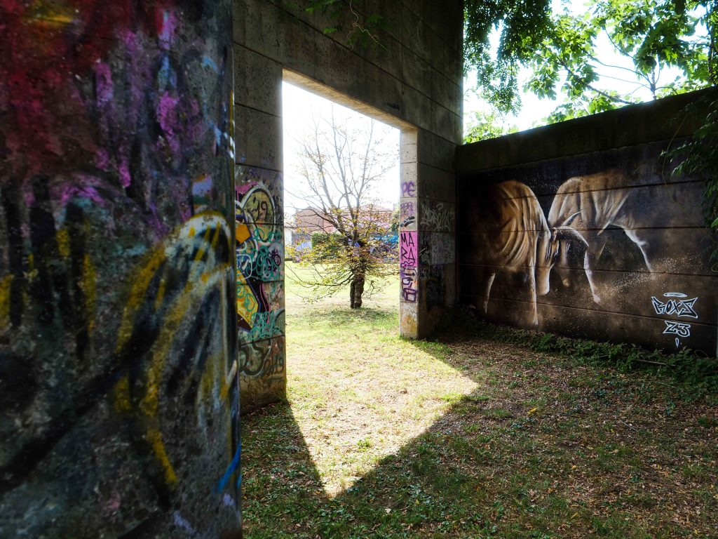 graffiti wall in udine italy
